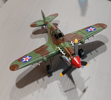 P-40 Warhawk Scale Model